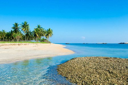 斯里兰卡的热带海滩夏季假期和旅游度假概念