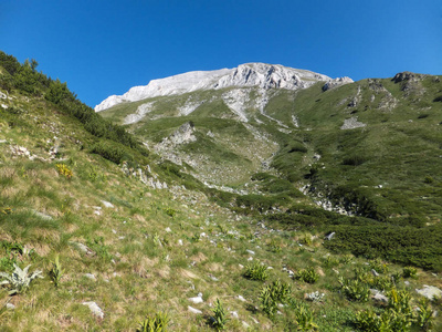 令人惊叹的景观与 Vihren 峰, Pirin 山, 保加利亚