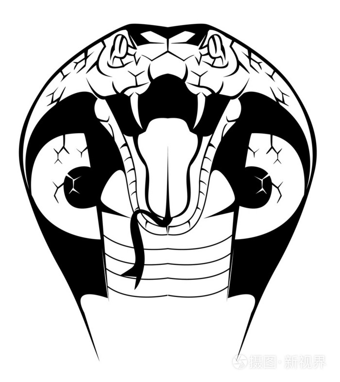 眼镜蛇的插图