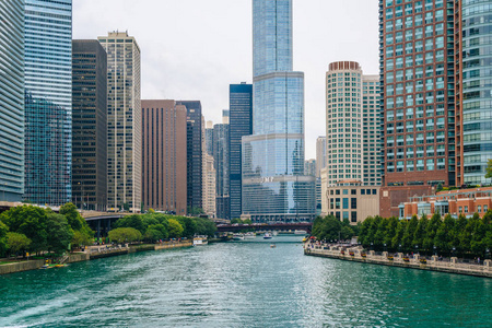 芝加哥河, 在芝加哥, 伊利诺伊州