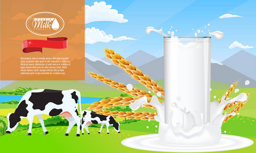 牛奶飞溅和农场广告模板布局, 用牛奶倾吐空白