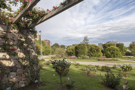 西班牙巴塞罗那柯兹区玫瑰园, 塞万提斯花园