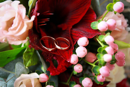 美丽的结婚戒指在红色的花朵上