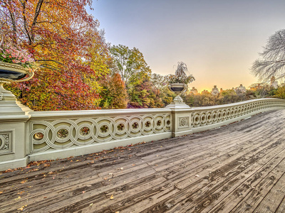 弓桥是铸铁位于纽约中央公园，城市，跨越湖在秋天