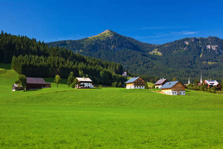 阿尔卑斯村