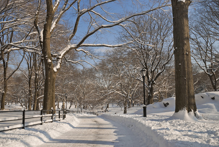 雪道中央公园