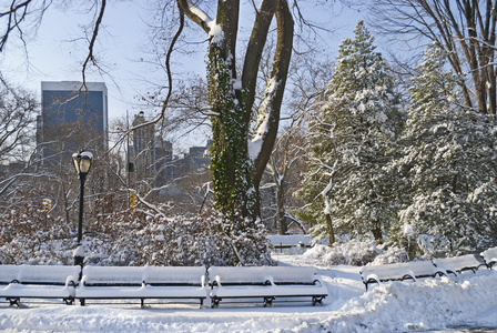 中央公园和雪