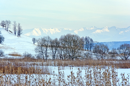 冬季景观