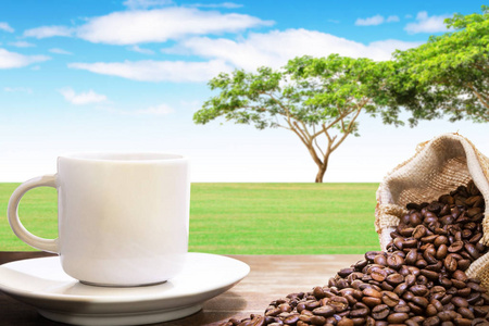 白色咖啡杯与蒸汽在木架子上夏季草和大树背景的景观