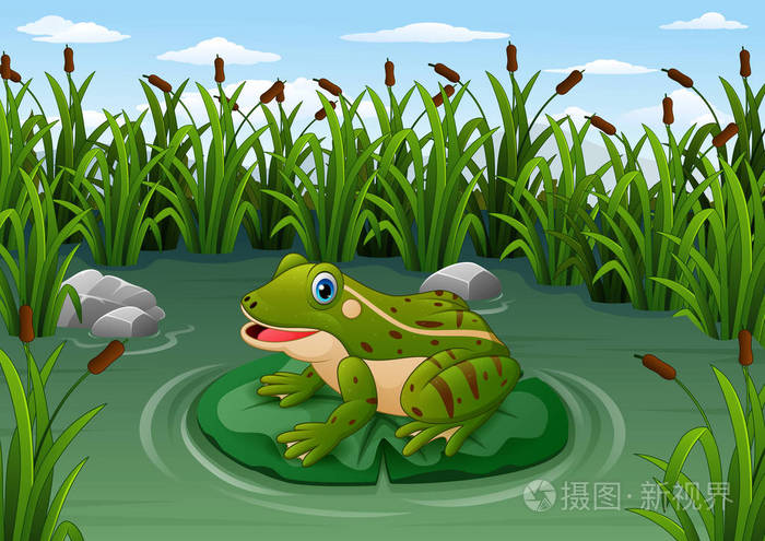 卡通青蛙在池塘叶上的矢量图解插画-正版商用图片0536