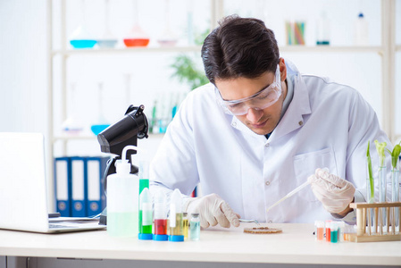 在植物实验室工作的男性生物化学家