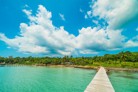 岛上有热带海滩和大海的木制码头或桥梁, 用于旅游度假