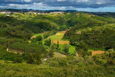 葡萄牙里斯本附近的 Ericeira 农业领域