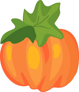 橙色动画片南瓜与绿叶在白色背景