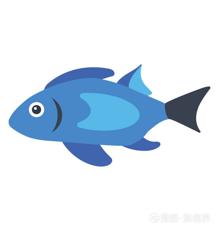 丽家族的蓝色鱼也叫蓝海豚, 蓝色 moorii