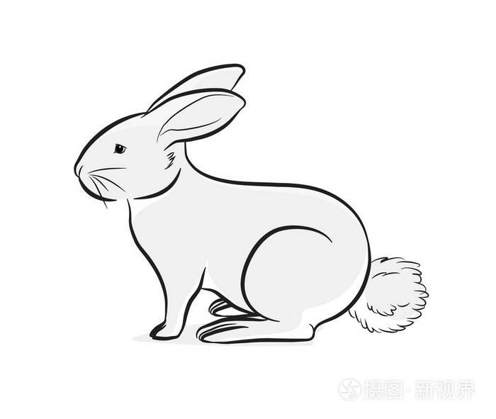 可爱的小兔子矢量图
