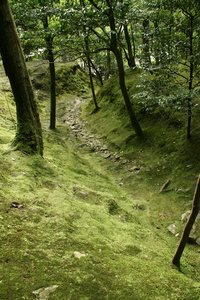 森林银阁寺 京都日本