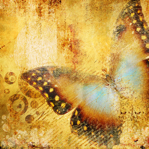 美丽的金色抽象与蝴蝶