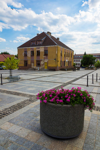Szydlow, Swietokrzyskie, 波兰的市政厅和市场