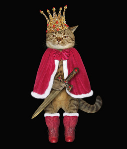 皇冠上的猫王