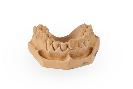 下颌牙被隔绝在白色