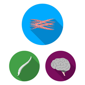 在集合中设计的一个人的平面图标的内部器官。解剖学和医学矢量符号股票 web 插图