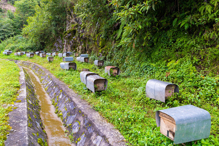 蜂房或养蜂场沿山地森林雨水沟的主干道