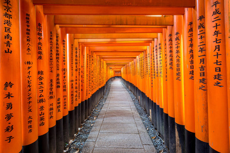 红托里门在伏见 inari 神社在京都，日本