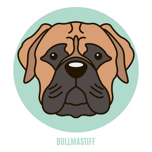 Bullmastiff 的肖像。平面风格的矢量图解