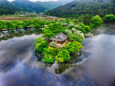 Wilyangji 水库密阳韩国亚洲的边缘树