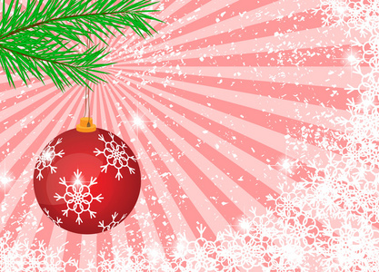 圣诞背景与杉木枝和球