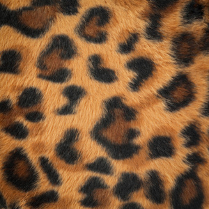 豹子或捷豹皮肤图案背景