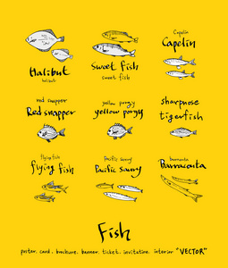 手工绘制食品配料海洋食品菜单插图矢量