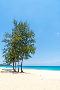美丽的热带海滩和海与椰子棕榈树在天堂海岛假日假期概念