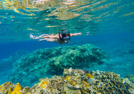 水下拍摄的一个年轻女子浮潜在热带海在珊瑚礁之上