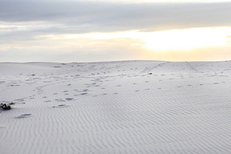 海岸白沙滩沙带波纹和波浪纹理图案设计背景