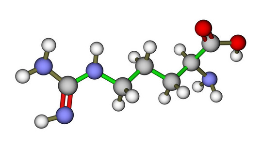 氨基酸精氨酸分子的结构