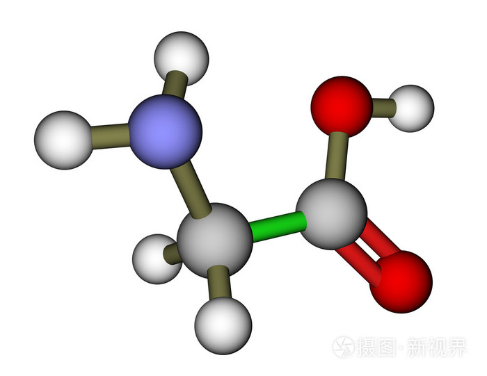 氨基酸甘氨酸分子的结构