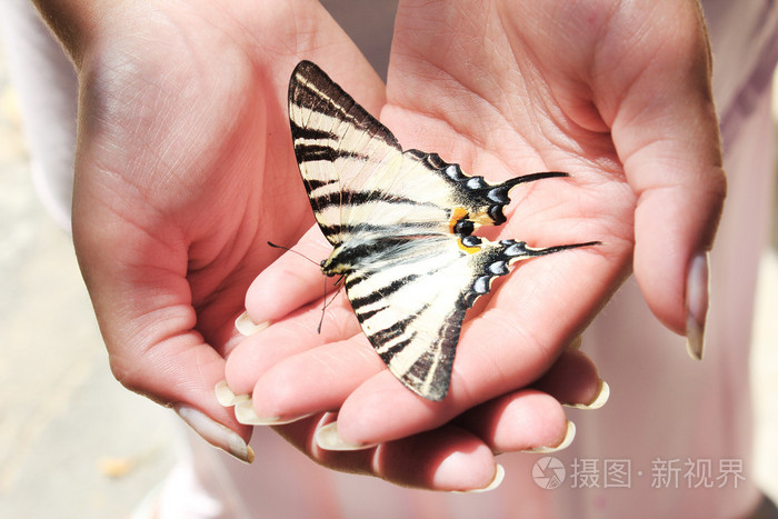 蝴蝶手上