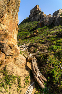 Robberg 半岛自然保护区路径, 印度洋南非