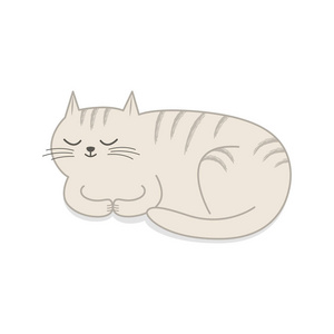 睡觉的猫。在白色背景下被隔离。矢量插图