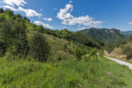 保加利亚普罗夫迪夫 Rhodope 山 Borovo 村附近绿色丘陵的惊人景观