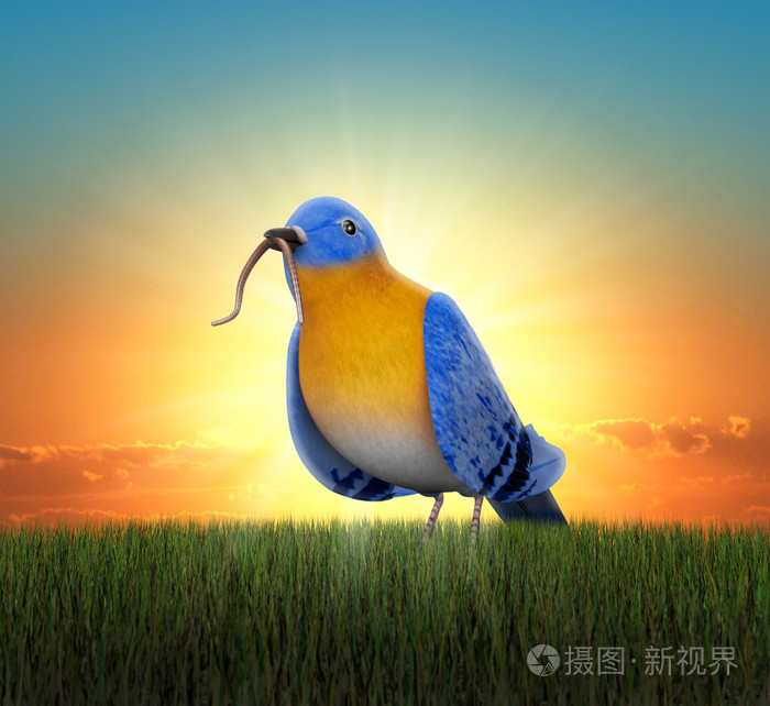 早起的鸟儿