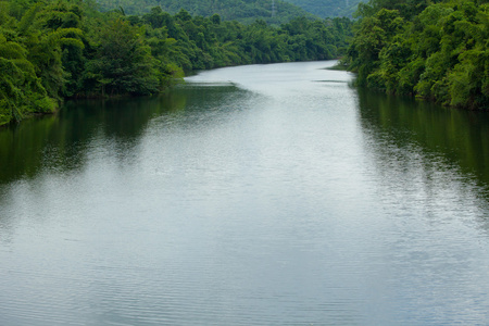 河和森林