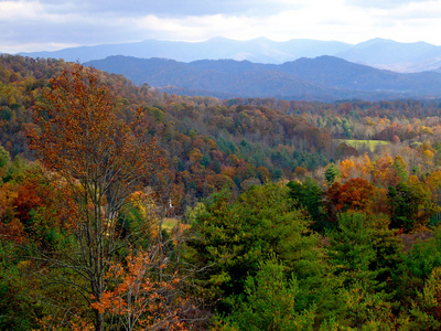 North carolina i hst在秋天的北卡罗莱纳州