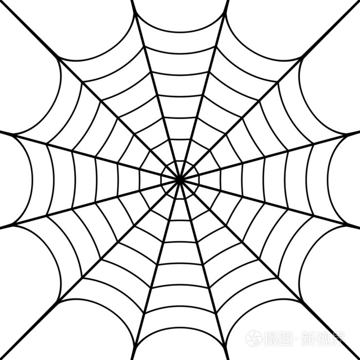 蜘蛛网矢量插画