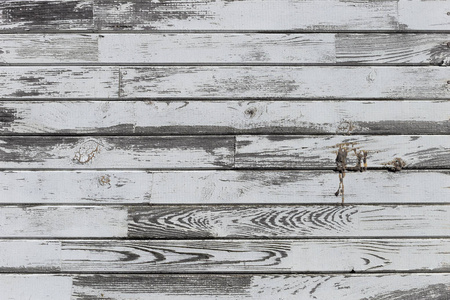 白色的木材纹理的自然形态背景