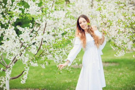 在盛开的春树上, 合上美丽优雅女人的浪漫肖像。浪漫的心情围绕着鲜花