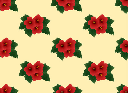 红色芙蓉木槿沙龙玫瑰在象牙米色背景。矢量插图