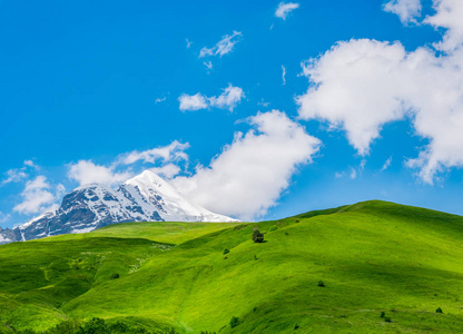 田园风光与蓝天, 清新的绿色草地和白雪皑皑山顶。Svanetia 地区, 佐治亚